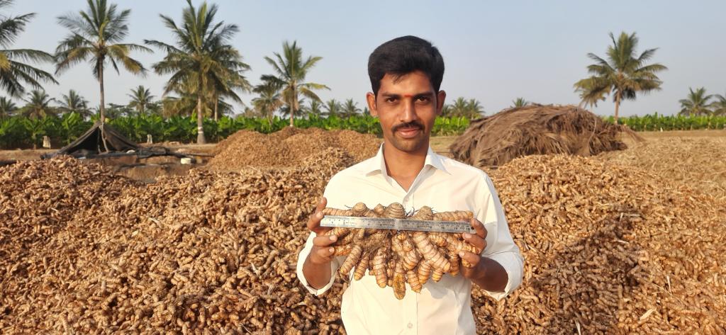 Roots of health: How a simple processing method helps turmeric farmers earn more