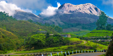 7 Kerala travel tips to keep In Mind For A Memorable Trip in 2022