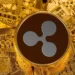 Planning To Trade In Ripple? Here Are Facts To Know About Ripple