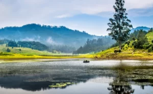 5 Best Hill Stations in South India