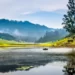 5 Best Hill Stations in South India