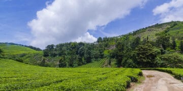 5 Amazing Hill Stations Near Chennai For a Peaceful Vacation