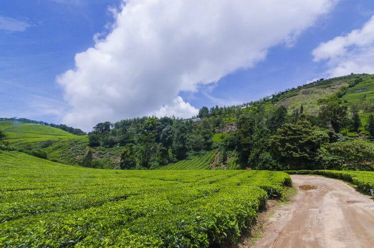 5 Amazing Hill Stations Near Chennai For a Peaceful Vacation