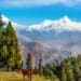 7 Gems Of Uttarakhand, If You’re Planning A Trip