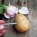 How To Plant Roses Using Potatoes.