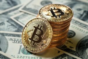 Here Is An Overview Of Functioning Of Bitcoins And Fiat Currency