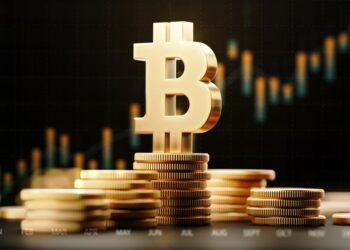 Future Scope of Bitcoin Investment- Here Is All You Need To Know