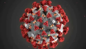 COVID can harm testicles and reduce libido, according to a study