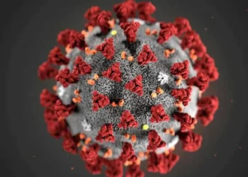 COVID can harm testicles and reduce libido, according to a study