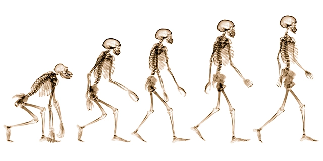 5 changes that prove humans are still evolving: