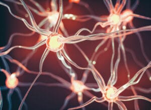 Neuroplasticity: A Universe Inside You