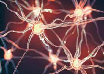 Neuroplasticity: A Universe Inside You