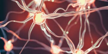 Neuroplasticity: A Universe Inside You