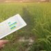 Seeding A Data Revolution In Indian Agriculture