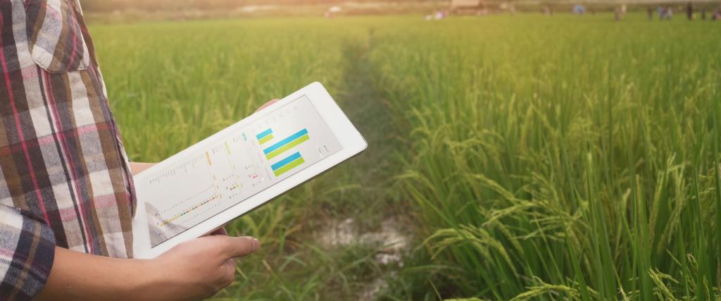 Seeding A Data Revolution In Indian Agriculture