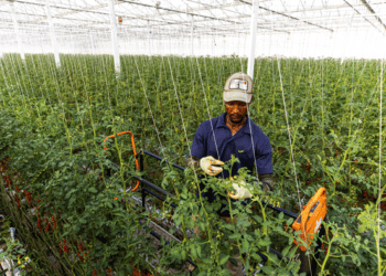 Top 3 Agritech Platforms Using Most Intriguing Technologies In Agriculture To Support Farmers