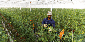 Top 3 Agritech Platforms Using Most Intriguing Technologies In Agriculture To Support Farmers