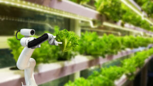5 Emerging Innovations In The Field Of Agriculture
