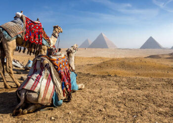 7 Interesting Things You Should Know About Egypt