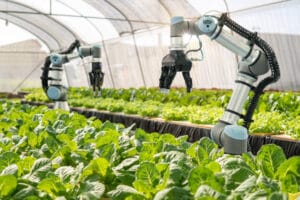 The Era Of Farm Automation
