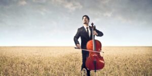 Why music is pursued as a hobby and not career?
