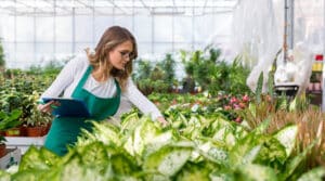 5 Ways To A Small Profitable Farm Business