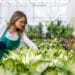 5 Ways To A Small Profitable Farm Business