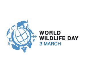 World Wildlife Day 2022: A Day to Celebrate The Diversity Of Life On Earth