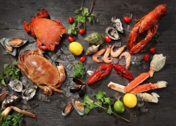 10 Most Expensive Seafood In The World