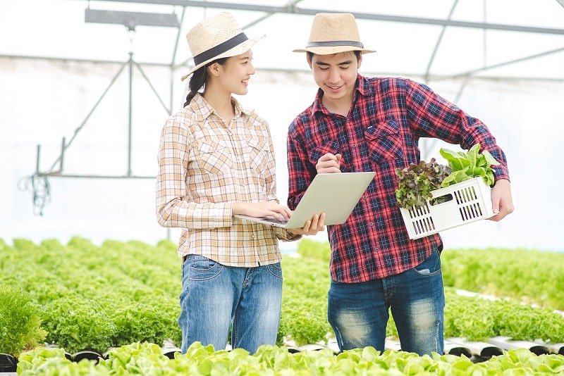 Top 5 Highest Paying Jobs In Agriculture