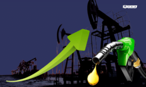 Increasing Oil Prices in India: National and International Causes Explained.