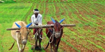 Irrigation Methods That Will Help The Indian Farmers