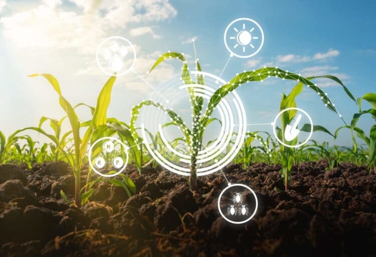 Digital Agriculture: The Future of Indian Agriculture
