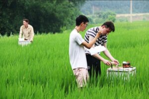 Climate Smart Agriculture: Reorienting Agricultural Development