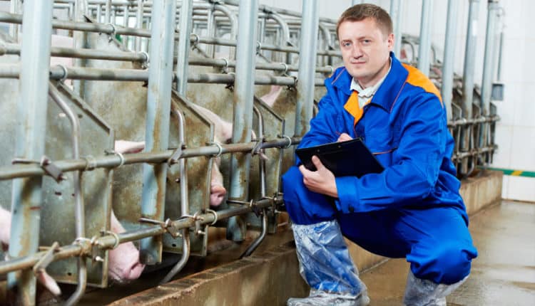 Biosecurity And Its Key Planning