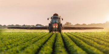 Shift In The Cropping Pattern