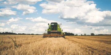 Top 5 Highest Paying Jobs In Agriculture