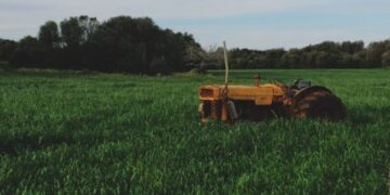 Organic Farming In India.