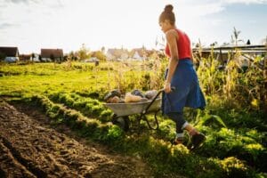 Organic Farming: How It Helps To Conserve The Environment
