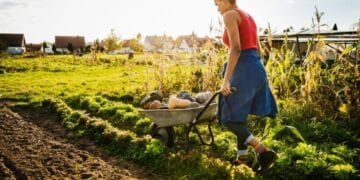 Organic Farming: How It Helps To Conserve The Environment