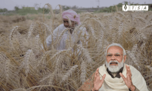 Is there a real shortage of wheat in the country or is it being concocted deliberately?