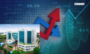 What are the 4 Types of Stocks?