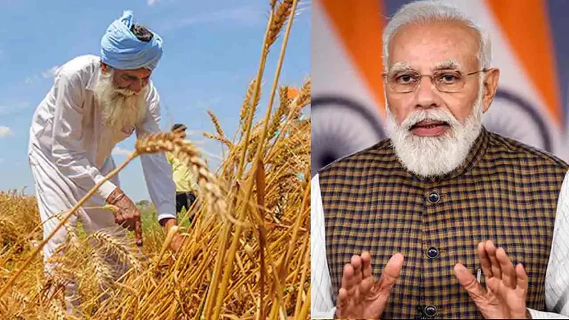 Why has India banned wheat exports?