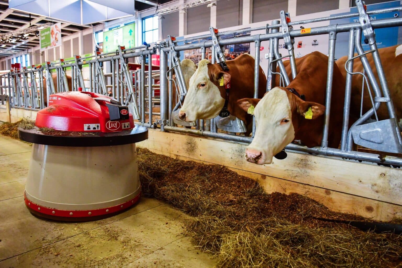 robotic-milking-how-does-it-helps-in-dairy-farming-the-second-angle