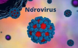 Two norovirus cases confirmed in Kerala: symptoms, causes, transmission, and prevention
