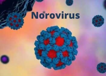 Two norovirus cases confirmed in Kerala: symptoms, causes, transmission, and prevention
