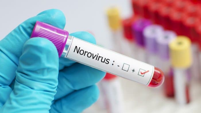 Two norovirus cases confirmed in Kerala: symptoms, causes, transmission, and prevention