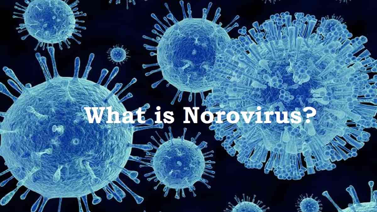 Two norovirus cases confirmed in Kerala: symptoms, causes, transmission, and prevention