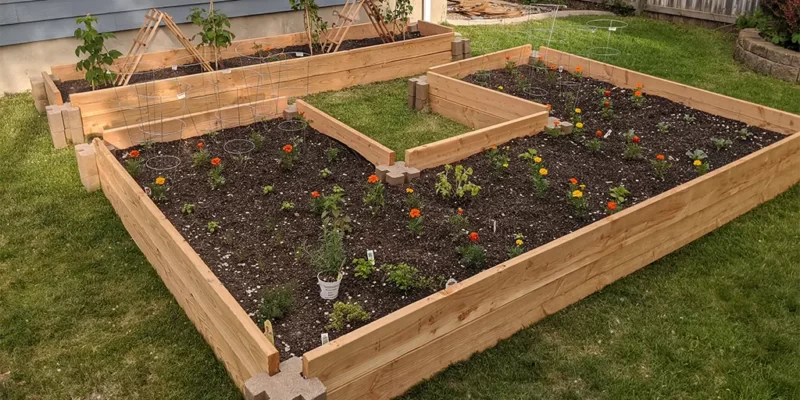 DIY garden projects anyone can do