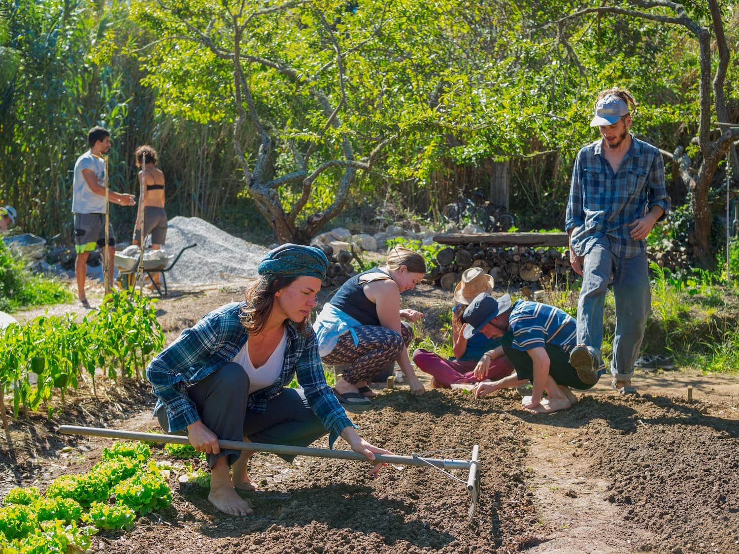 challenges of permaculture